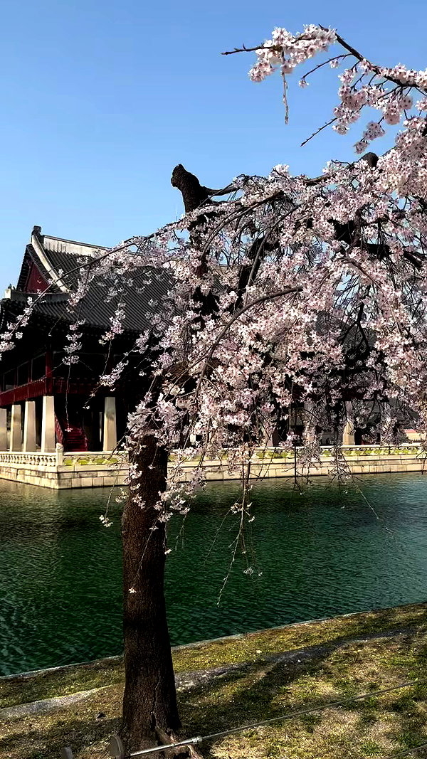 jhelenosx archive video preview