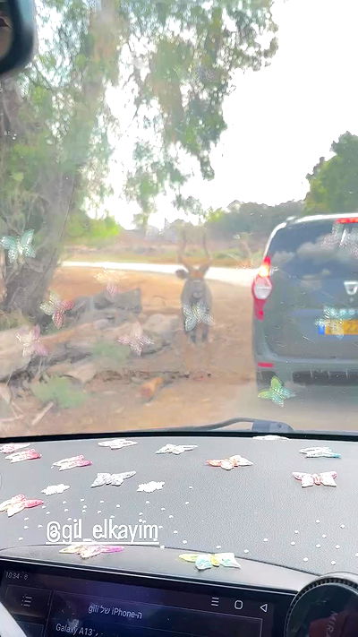 noyaislilith333 noyaislilith333 archive video