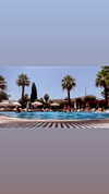 diana_polin Altpins Profile Picture