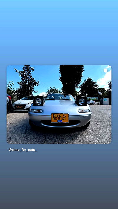 simp_for_cats_ simp_for_cats_ archive video