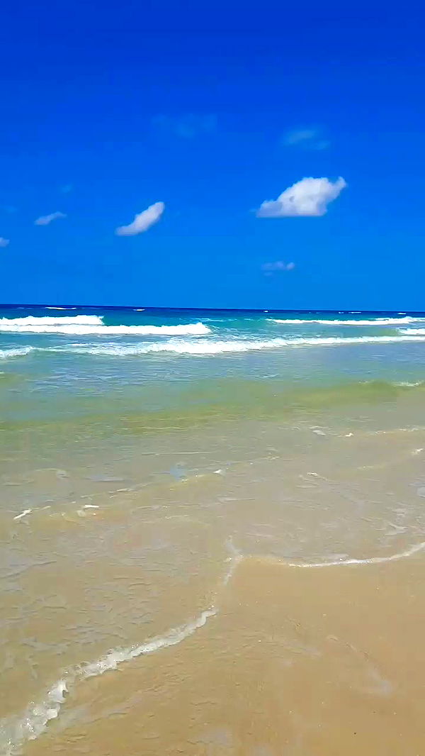 yam_adler archive video preview