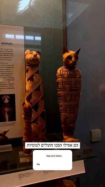 itsilanosh itsilanosh archive video