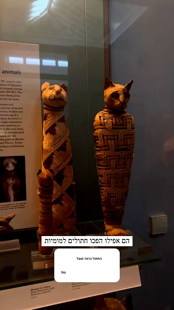 itsilanosh archive video preview