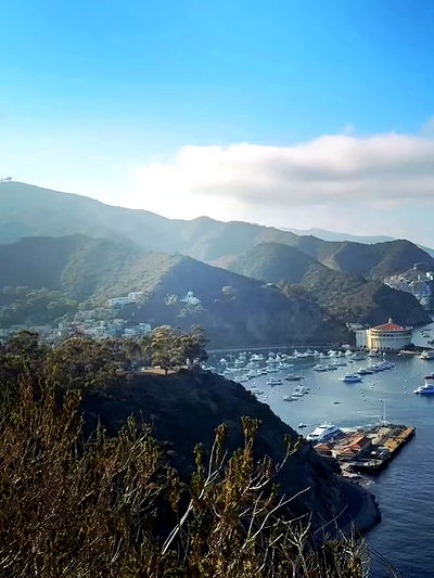 zommmbri zommmbri archive video