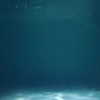 japp_leack Altpins Profile Picture