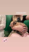 elena_blur Altpins Profile Picture