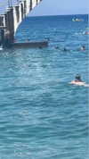 diana_polin Altpins Profile Picture