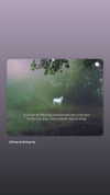 lotembar Altpins Profile Picture