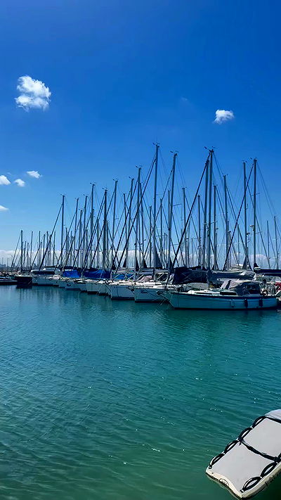 alisa.paigin alisa.paigin archive video