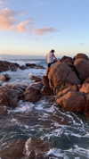anneliese.mitchell1 Altpins Profile Picture