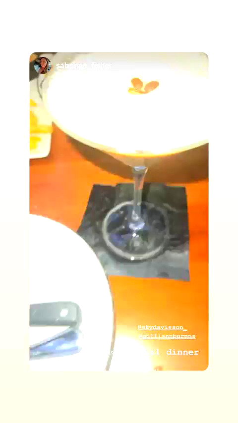 skydavisson_ archive video preview
