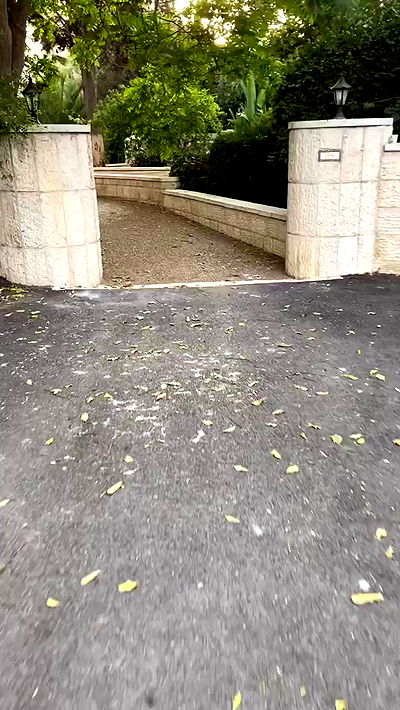 _femalien _femalien archive video