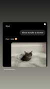 charleygrayyy Altpins Profile Picture
