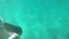 mia.ngarla Altpins Profile Picture