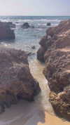 _ariel_lll Altpins Profile Picture