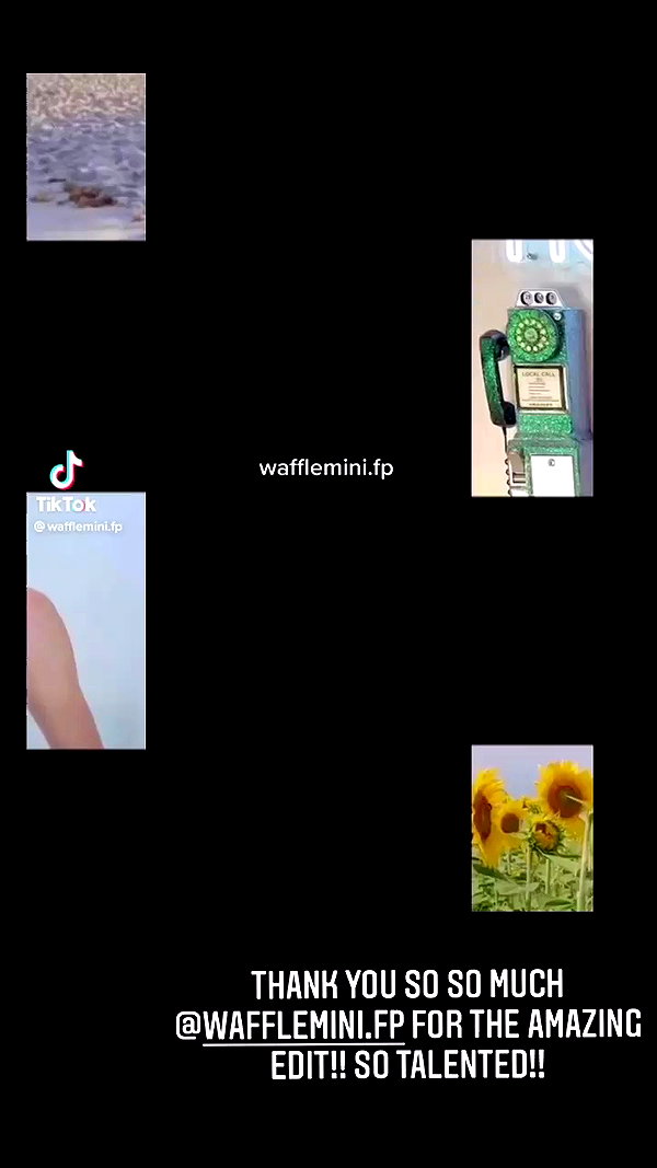 willitwafflemini archive video preview