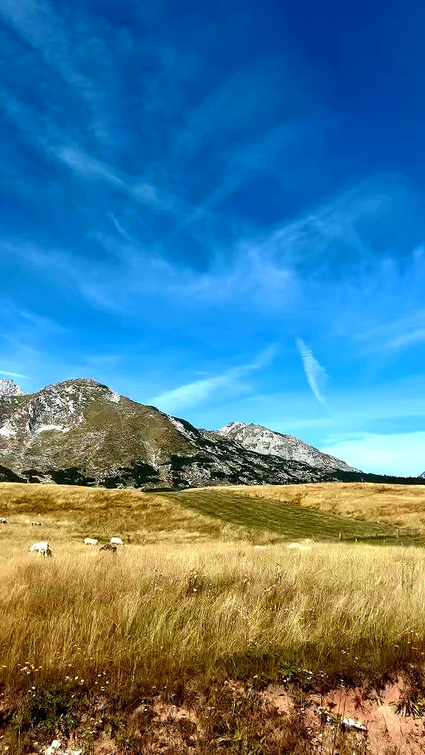 itsilanosh archive video preview