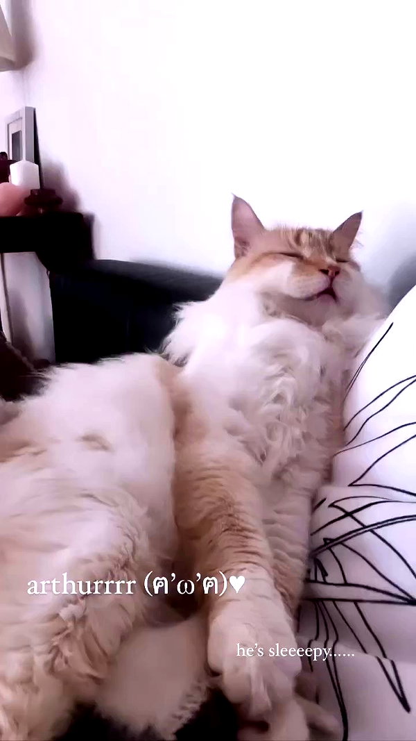 iheartpidge archive video preview