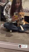 amyeett Altpins Profile Picture