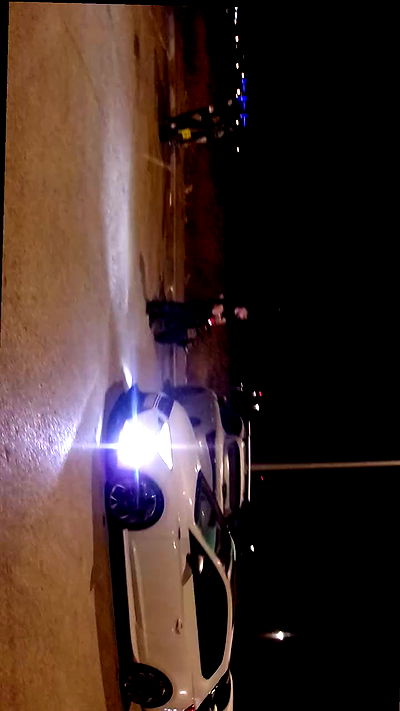 simp_for_cats_ simp_for_cats_ archive video