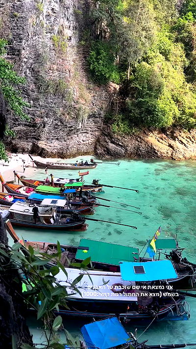 yam_adler yam_adler archive video