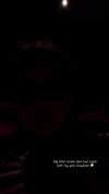 selenagomez Altpins Profile Picture