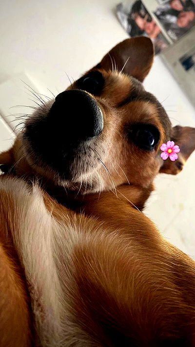 dustheadd dustheadd archive video