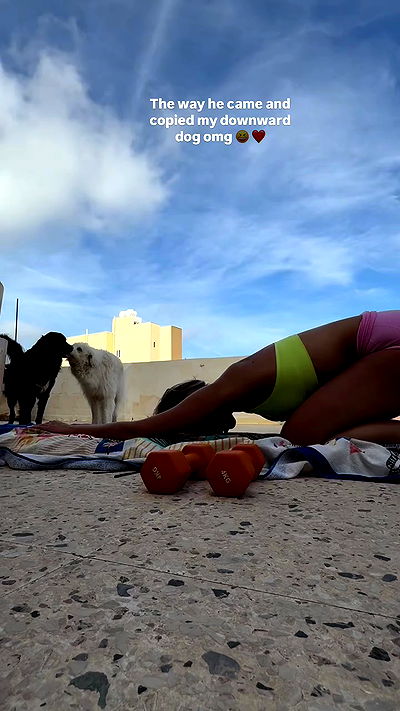 bakedsloths bakedsloths archive video