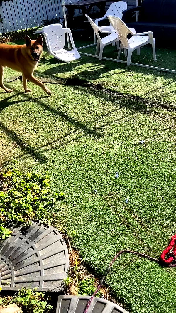 feelbetterinmysweater archive video preview