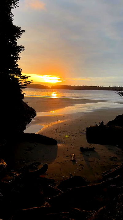 rachelc00k rachelc00k archive video