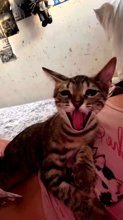 hellokittyangel666 hellokittyangel666 archive video