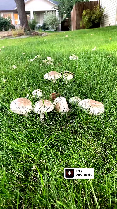 _animechika_ _animechika_ archive video