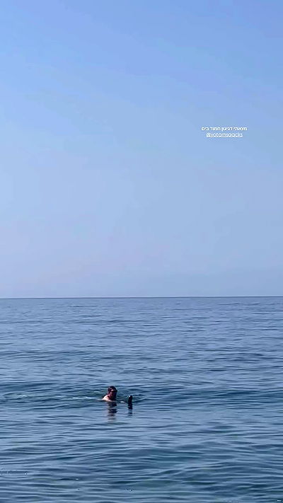 talweisswasser talweisswasser archive video