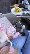 alinaaignatova Altpins Profile Picture