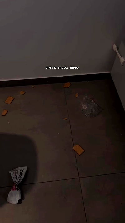 rebecka_tsadok rebecka_tsadok archive video