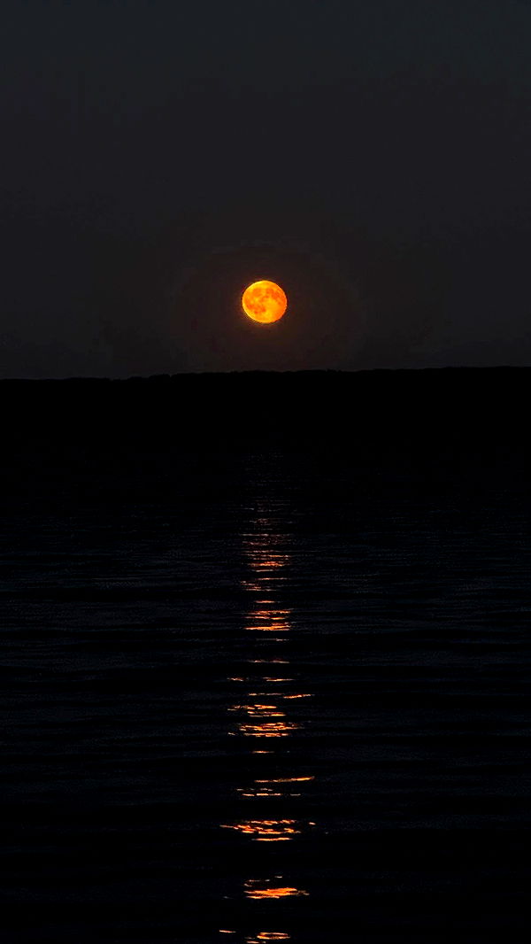 nyityam archive video preview