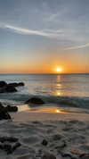 laurasaponara Altpins Profile Picture