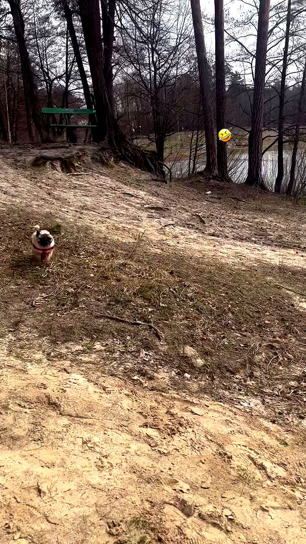 nyityam archive video preview