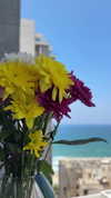 daria.lesin Altpins Profile Picture