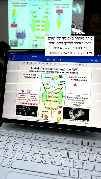 kesemgreenyer kesemgreenyer archive video