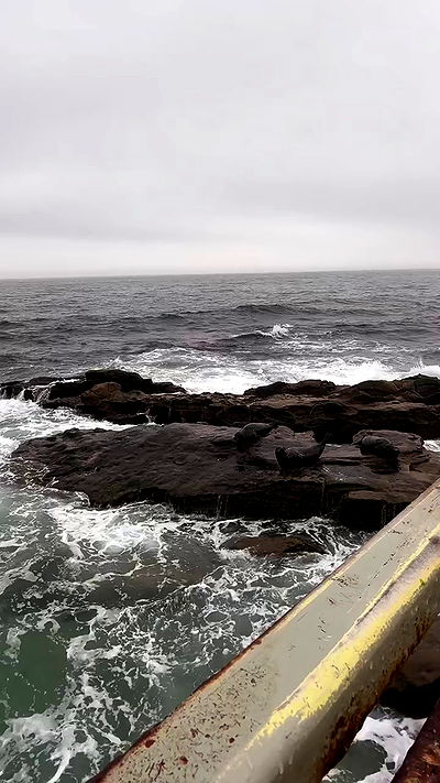 zommmbri zommmbri archive video