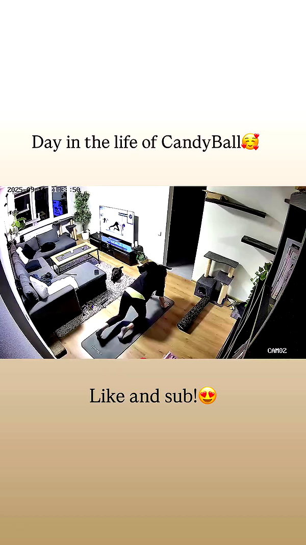 candy_balll archive video preview