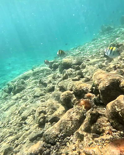 shunli__mei shunli__mei archive video