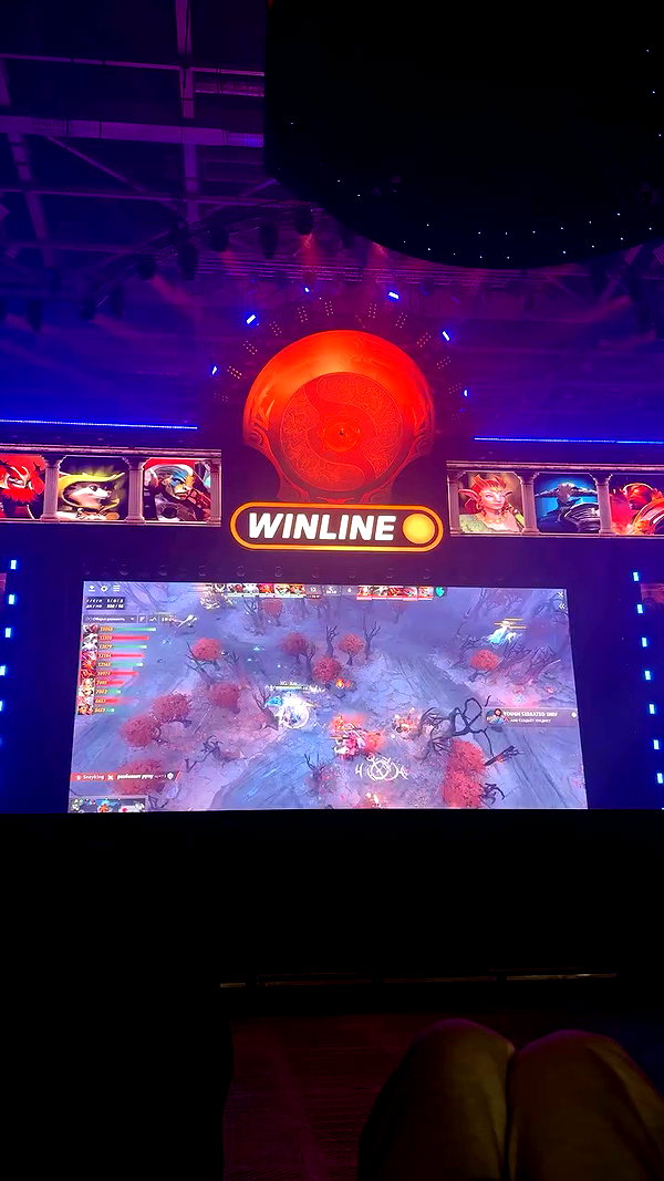 whylollycry archive video preview