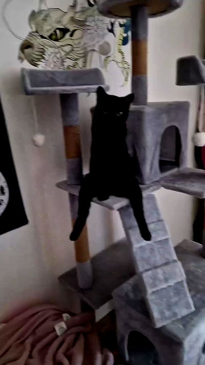 aekamee aekamee archive video