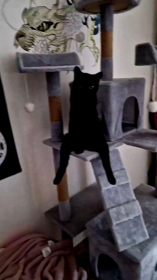 aekamee archive video preview