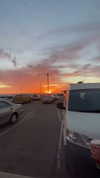 eloise_wensley Altpins Profile Picture