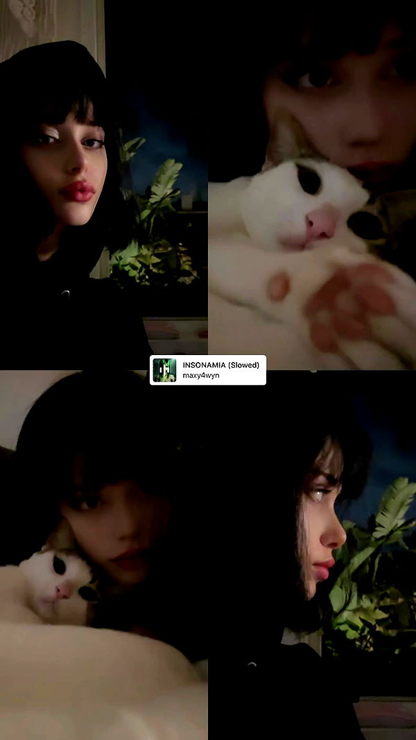 moonliliaght archive video preview