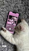 valeriecastellano Altpins Profile Picture