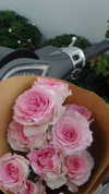 ngha_nhi Altpins Profile Picture